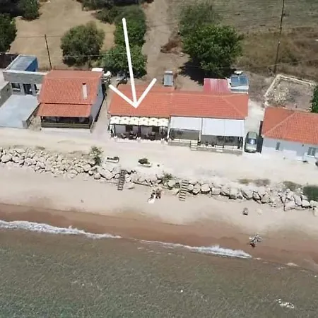 Asterias *