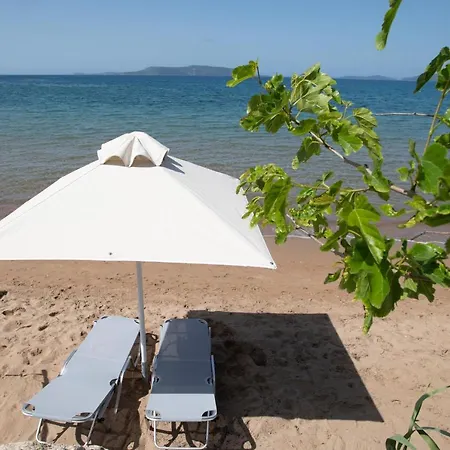 Asterias Apartment *