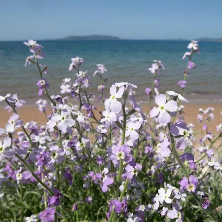 Asterias 피니코운타