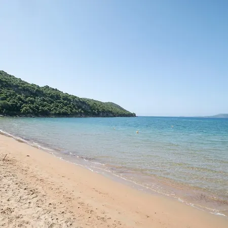 Asterias * Finikounta