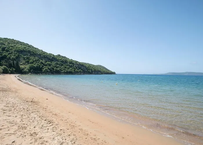 Asterias * Finikounta